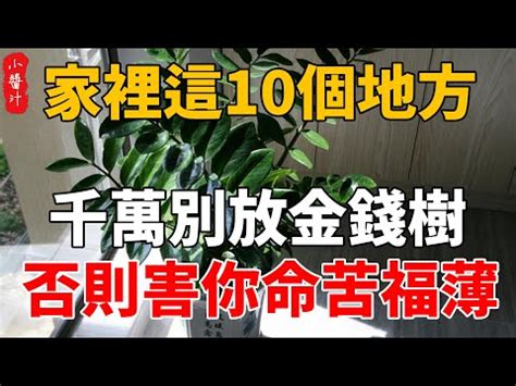 旺旺樹開花風水|這「五種花」，象徵著「招財、旺家」，難怪越來越多人在養！